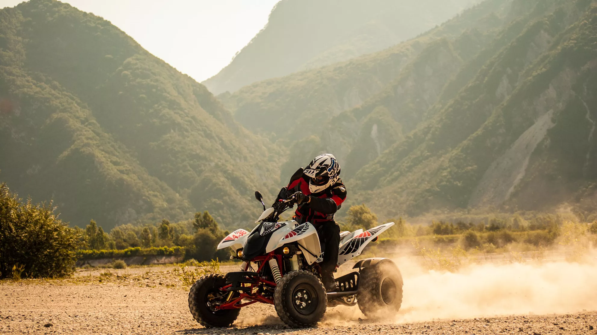 Access AMS 4.38 SM - Image 4 Access AMS 4.38 SM - Image 4